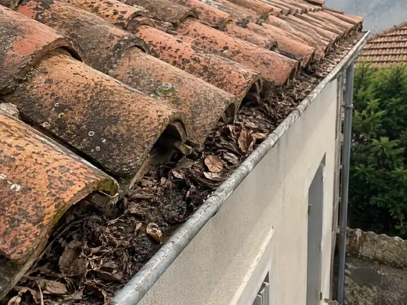 Gouttière obstruée par les débris végétaux après démoussage de toiture